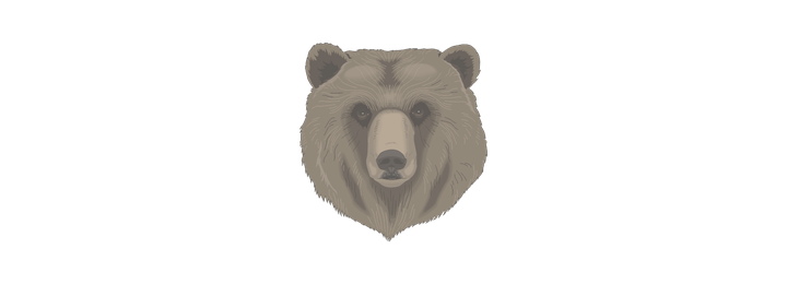 Orso Bruno